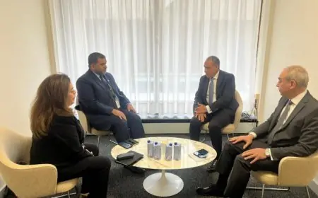 وزير الخارجية يشيد بموقف الإمارات الداعم لترشيح الدكتور العناني لليونسكو