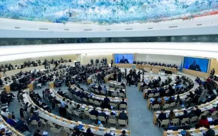 مجلس حقوق الإنسان بجنيف يطلق آلية جديدة للتحقيق في انتهاكات حقوق الإنسان في أفغانستان