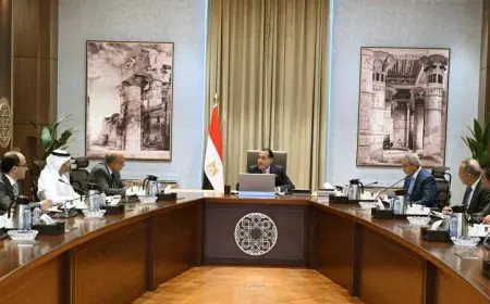 رئيس الوزراء يواصل متابعة تطورات تنفيذ الاستراتيجية الوطنية للطاقة المتكاملة