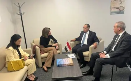 عبدالعاطي يثني على دعم البرازيل للمرشح العربي والإفريقي في رئاسة اليونسكو