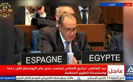 عبد العاطي يكشف عن الدعم الكبير لترشيح العناني لمنصب مدير عام اليونسكو