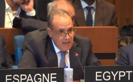 عبد العاطي يشدد على دعم مصر في اليونسكو ويدعو لانتخاب العناني مديرا عاما