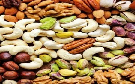 وزير الصحة يحتفل بتوقيع مذكرة تفاهم لتعزيز خدمات التحصيل الإلكتروني