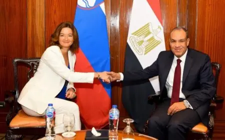 وزير الخارجية يثني على تعميق العلاقات السياسية والاقتصادية بين مصر وسلوفينيا