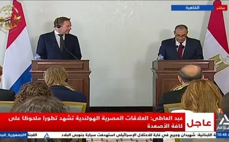 وزير الخارجية يكشف عن تطور ملحوظ في العلاقات بين مصر وهولندا على كافة الأصعدة