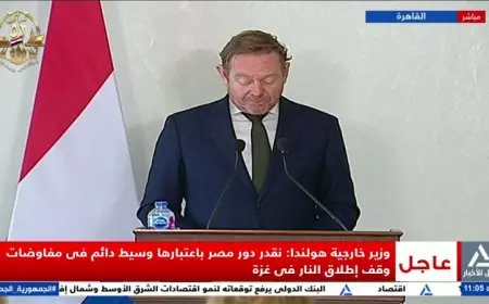 فان فيل يؤكد أهمية مصر كوسيط دائم في مفاوضات وقف إطلاق النار بغزة