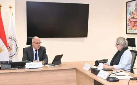 سويلم يلتقي سفيرة فنلندا بالقاهرة لتعزيز التعاون في مجال الموارد المائية