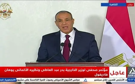 وزير الخارجية يتباحث مع نظيره الألماني حول تطورات الأوضاع في غزة