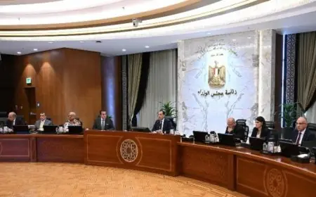قرارات حكومية جديدة تثير الاهتمام اليوم