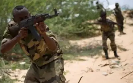 مقتل وإصابة 10 إرهابيين في عملية أمنية نوعية بمحافظة شبيلي الوسطى