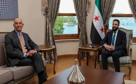 الرئيس السوري والمبعوث الأمريكي يناقشان تعزيز العملية السياسية في سوريا