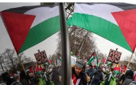 مظاهرات حاشدة في طوكيو تطالب بوقف إطلاق النار في غزة وفرض عقوبات على إسرائيل