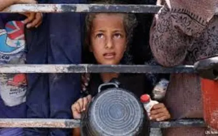 اليونيسف تحذر من أن الحرب على غزة تُعد إهانة للإنسانية وتدعو لوقف إطلاق النار بشكل عاجل