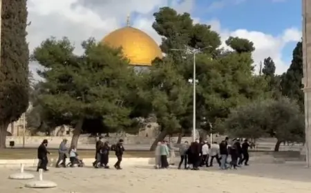 السعودية ترفض اقتحام المستوطنين لباحات المسجد الأقصى تحت حماية قوات الاحتلال