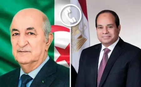 الرئيس السيسي ونظيره الجزائري يعززان آفاق التعاون المشترك بين مصر والجزائر