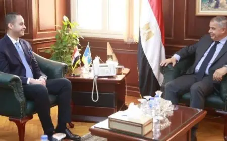 نائب وزير الصحة يناقش مع محافظ الإسكندرية تعزيز وتطوير الخدمات الصحية