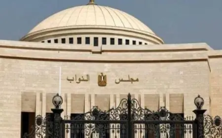 محكمة دمياط الابتدائية تستقبل أوراق المرشحين لخوض انتخابات مجلس النواب