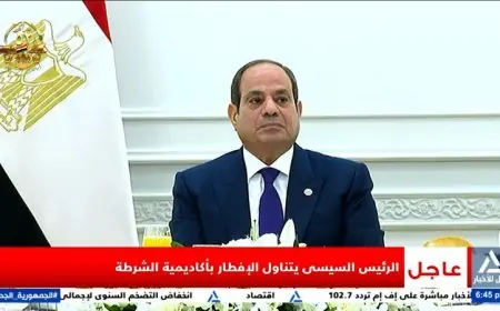 الرئيس السيسي يكشف عن مشروع ضخم لتحسين وبناء مؤسسات الدولة عبر فيديو جديد