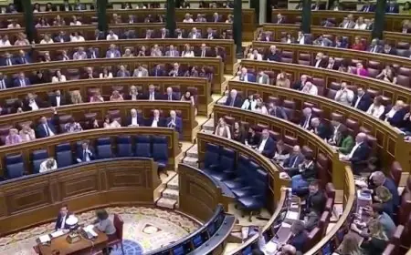 البرلمان الإسباني يقرر حظر توريد الأسلحة إلى إسرائيل لتعزيز السلم العالمي