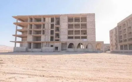 التعليم العالي يعلن عن إنشاء فرع جامعة السويس في أبورديس بجنوب سيناء بتكلفة 2 مليار جنيه