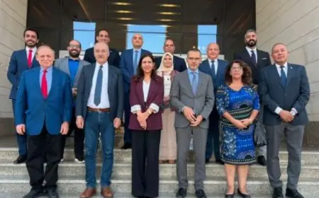 وفد برلماني لبناني يثني على تجربة مصر في نظام التأمين الصحي الشامل