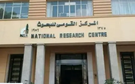 التعليم العالي تطلق حملة عام دراسي آمن بالتعاون مع قومي البحوث لتعزيز صحة الطلاب