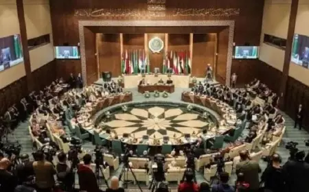 منظمة التعاون الإسلامي تعبر عن ترحيبها بوقف إطلاق النار في قطاع غزة