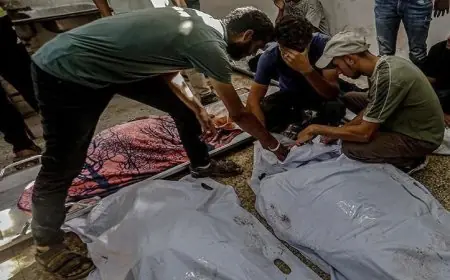 استشهاد 29 فلسطينيا في غزة منذ صباح اليوم في تصعيد جديد للأحداث