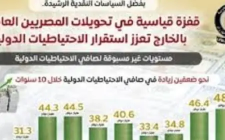 مجلس الوزراء يعلن عن قفزة غير مسبوقة في تحويلات العاملين بالخارج تعزز استقرار الاحتياطي المالي