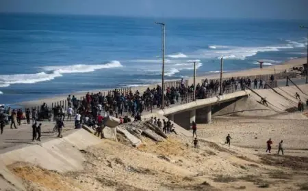 عائدون إلى غزة النازحون الفلسطينيون بعد سريان وقف إطلاق النار