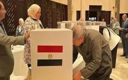 قنصل مصر في هونج كونج يشجع الجالية المصرية على المشاركة في انتخابات النواب