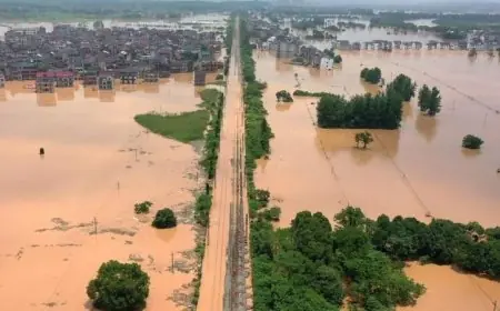 مصرع 22 فردا وظهور تأثيرات الفيضانات والانهيارات الأرضية في المكسيك