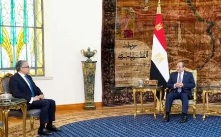 الرئيس السيسي يرحب بالدكتور خالد العناني المدير العام لليونسكو لتعزيز التعاون الثقافي والتنمية العربية