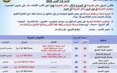طقس الغد: حرارة نهارية معتدلة وليالٍ مريحة في القاهرة مع ارتفاع درجات الحرارة إلى 28 درجة