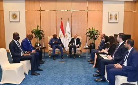 سويلم يؤكد أن السنغال شريك استراتيجي لمصر في قطاع المياه