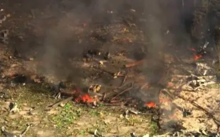 انفجار مدوي في مصنع أمريكي يوقع 16 جريحا