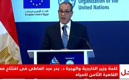 وزير الخارجية يؤكد دور مصر التاريخي في قيادة مسارات السلام