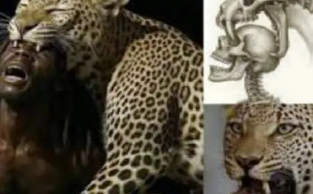 الذكاء الاصطناعي يكشف عن حقيقة مفاجئة حول الفهود وأكلها لوجوه البشر القدماء منذ مليوني عام