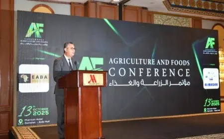 وزير التعليم يناقش مع رئيس جهاز مستقبل مصر للتنمية المستدامة سبل تعزيز التعاون