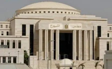 مجلس الشيوخ المصري يضم 268 رجل و32 سيدة و19 حزب أبرزها مستقبل وطن و11 نائبا مستقلا