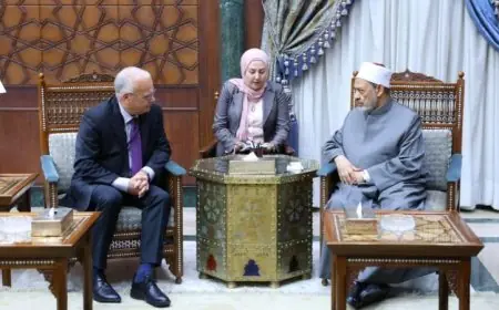 شيخ الأزهر يؤكد للسفير السويدي في مصر أن الإساءة للمقدسات الدينية ليست حرية