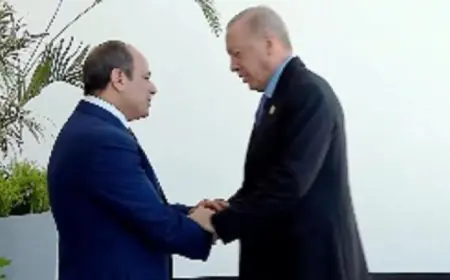 الرئيس السيسي يستقبل نظيره التركي في قمة شرم الشيخ لتعزيز العلاقات الثنائية