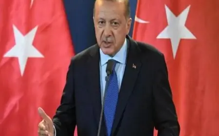 الرئيس التركي يؤكد أن حل الدولتين هو الحل الأمثل لتحقيق السلام المستدام في غزة