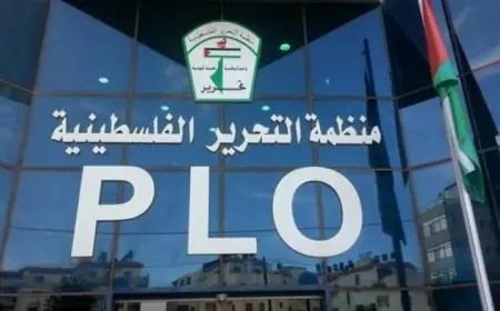 القوى الوطنية والإسلامية الفلسطينية تؤكد على ضرورة تعزيز الحوار الوطني الشامل تحت رعاية مصر