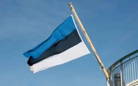 وزير خارجية أستونيا يثني على وساطة مصر وأمريكا وقطر وتركيا في مفاوضات غزة