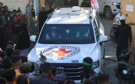 جيش الاحتلال الإسرائيلي يستلم الصليب الأحمر جثتين لمحتجزين في قطاع غزة