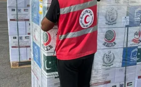 وصول طائرة مساعدات إنسانية من باكستان إلى مطار العريش لدعم سكان قطاع غزة