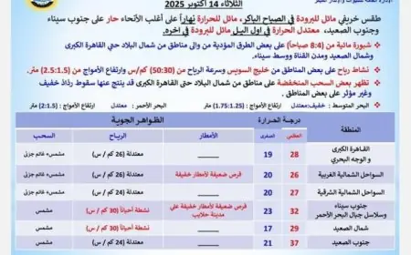 طقس خريفي مائل للبرودة اليوم في القاهرة مع درجات حرارة عظمى تصل إلى 28 درجة