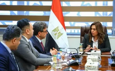 وزيرة التنمية المحلية تناقش قضايا هامة مع نقيب الأطباء البيطريين لتعزيز التعاون المشترك