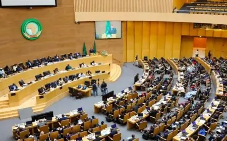 الاتحاد الإفريقي يؤكد على ضرورة تعزيز السلام والاستقرار في جنوب السودان